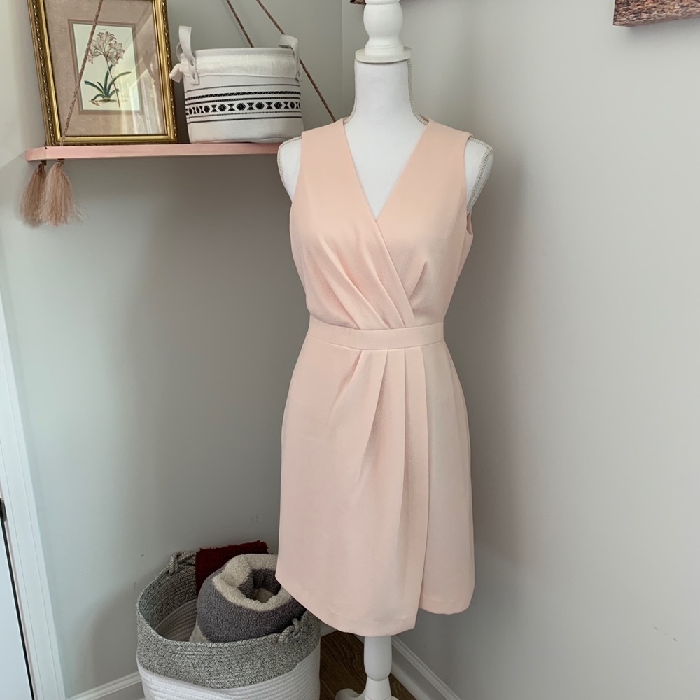 Club Monaco Pale Pink Crepe Dress